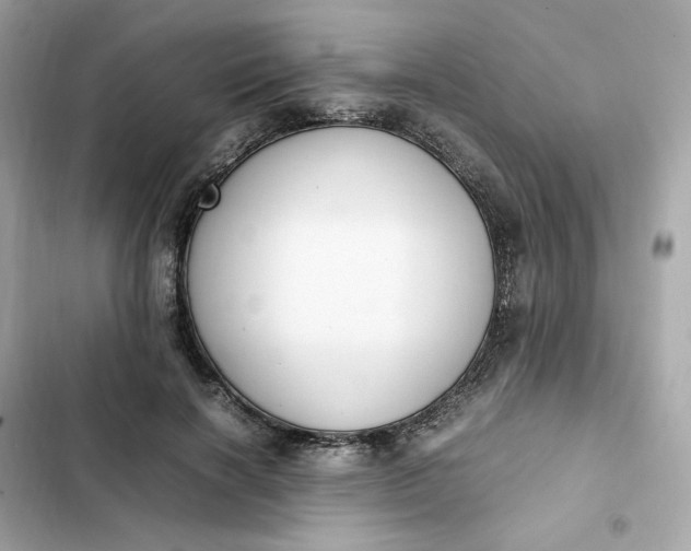 X0000102370646200808151836