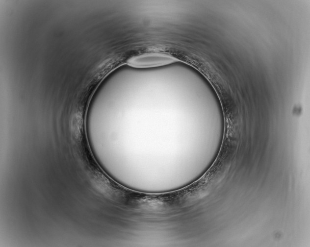 X0000102370648200808151836