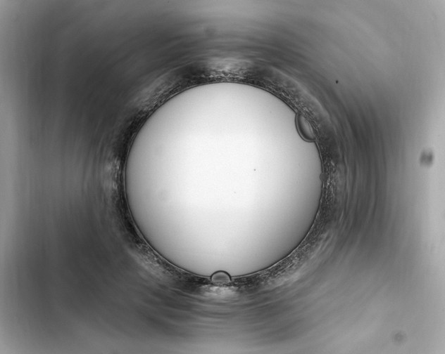 X0000102370649200808151836