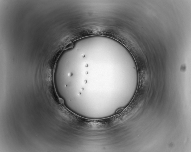 X0000102370650200808151836