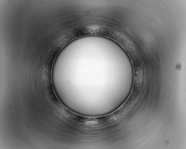 X0000102370653200808151836