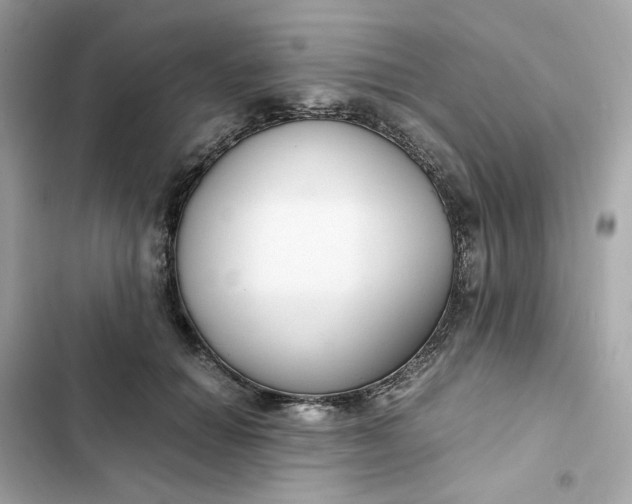 X0000102370654200808151836