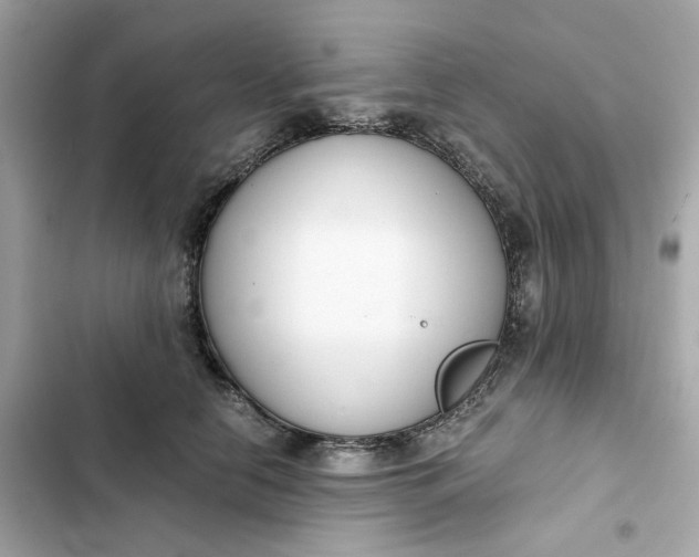 X0000102370658200808151836