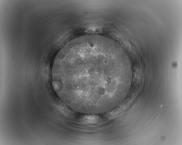 X0000102370659200808151836