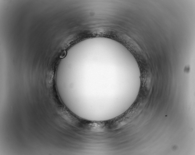 X0000102370660200808151836