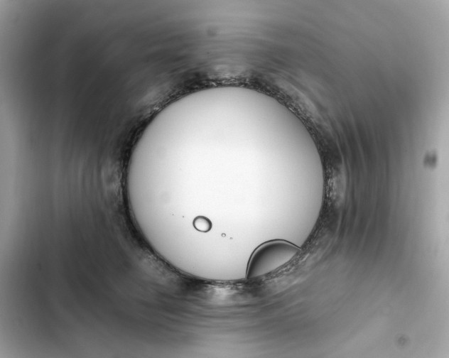 X0000102370662200808151836