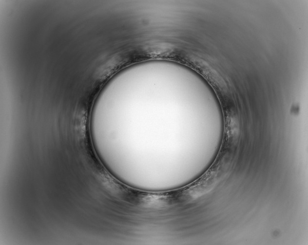 X0000102370664200808151836