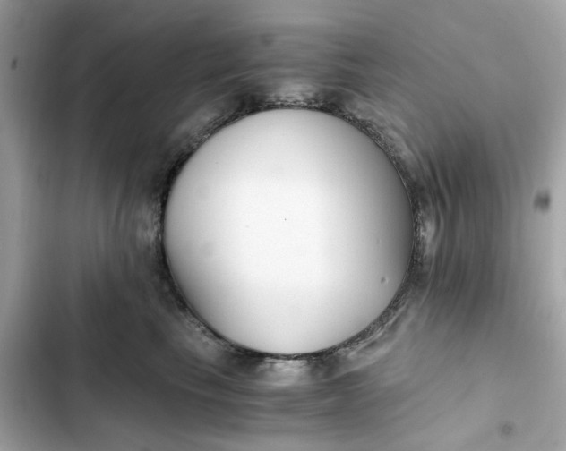 X0000102370665200808151836