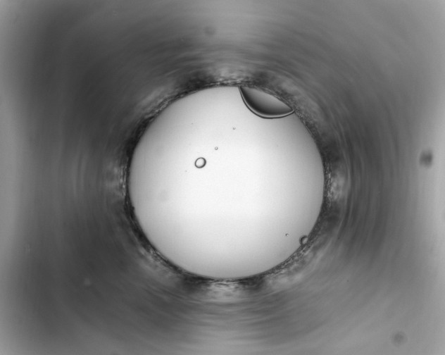 X0000102370666200808151836