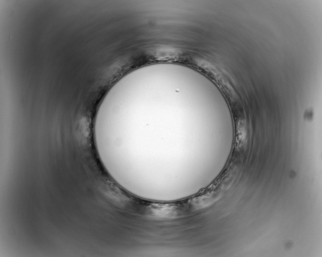 X0000102370667200808151836