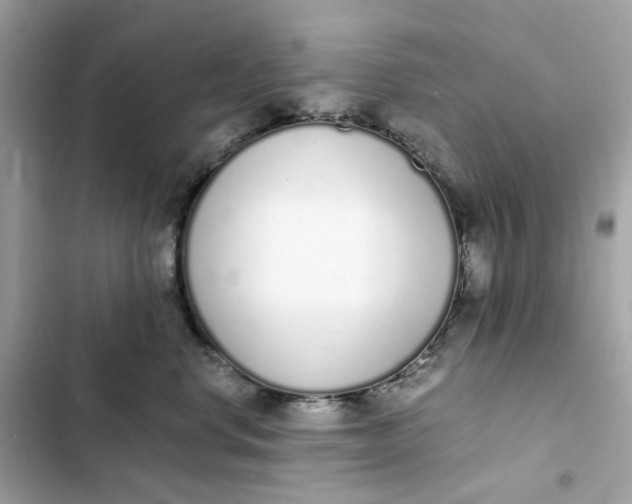 X0000102370668200808151836