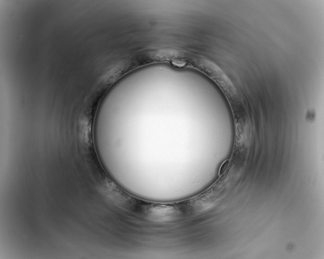 X0000102370669200808151836