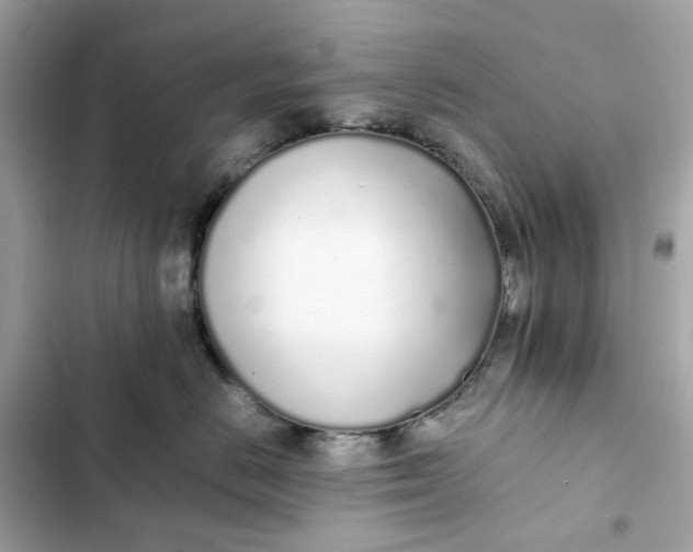 X0000102370670200808151836