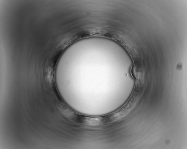 X0000102370671200808151836