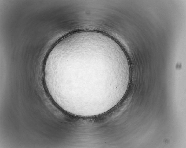 X0000102370673200808151836