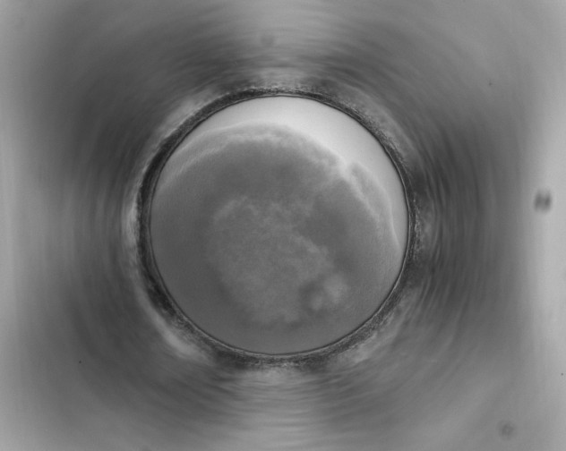 X0000102370674200808151836