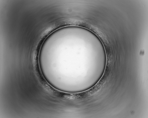 X0000102370679200808151836