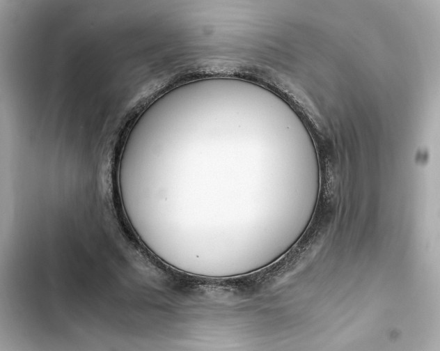 X0000102370681200808151836