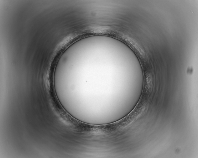 X0000102370682200808151836