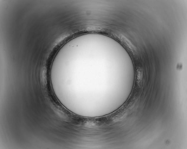 X0000102370684200808151835