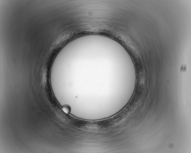 X0000102370685200808151835