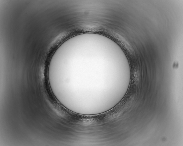 X0000102370686200808151835