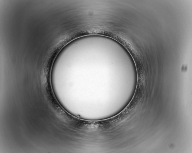 X0000102370687200808151835