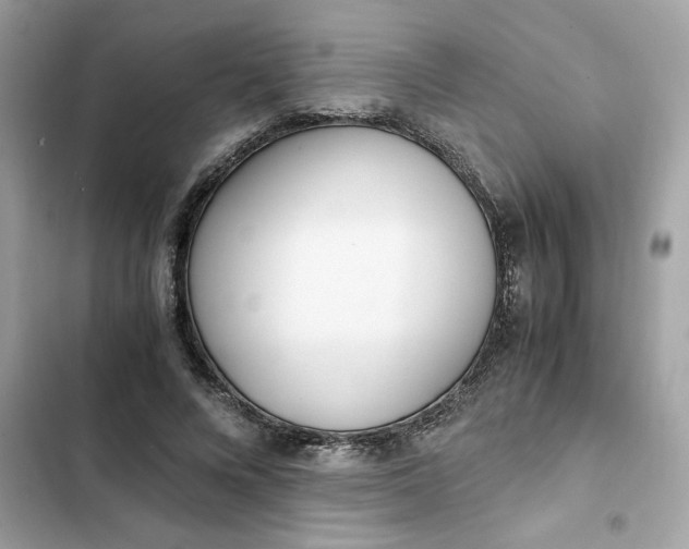 X0000102370688200808151835