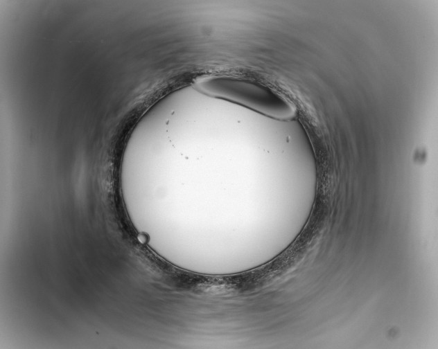 X0000102370689200808151835