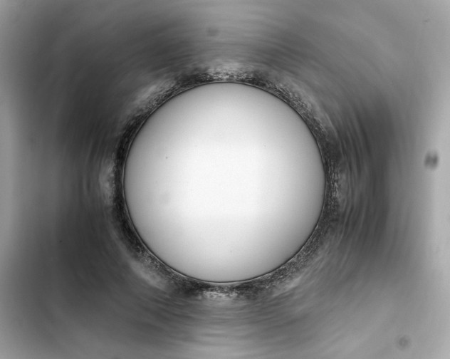 X0000102370690200808151835