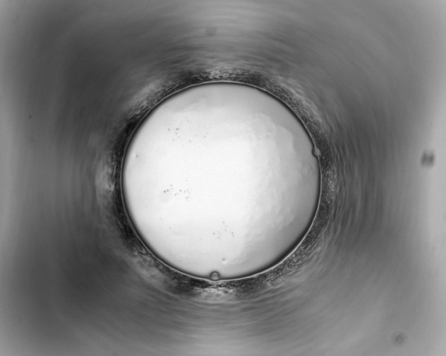 X0000102370691200808151835