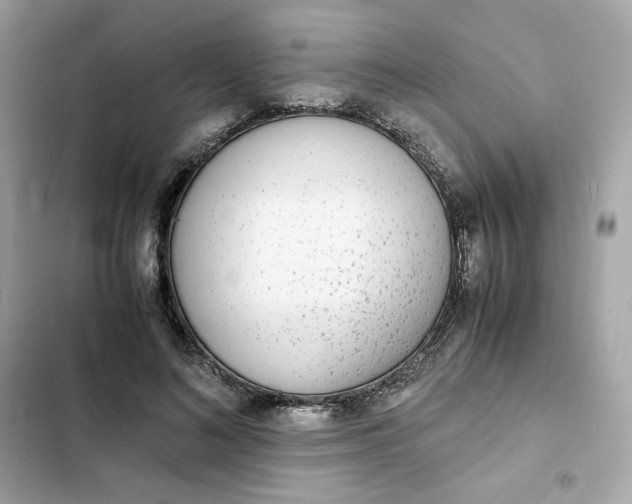 X0000102370692200808151835