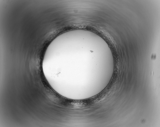 X0000102370693200808151835