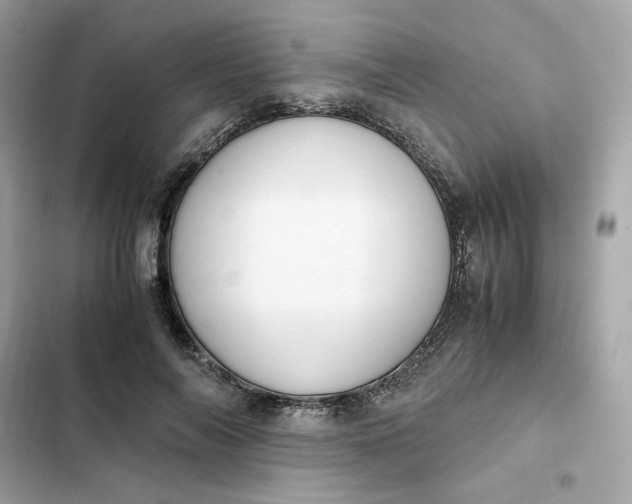 X0000102370694200808151835