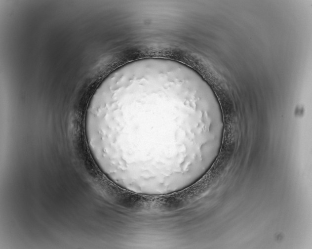 X0000102370695200808151835