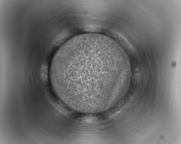 X0000102370696200808151835