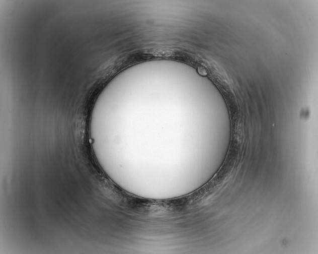 X0000102370697200808151835