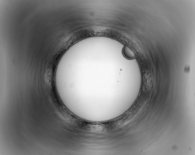 X0000102370698200808151835