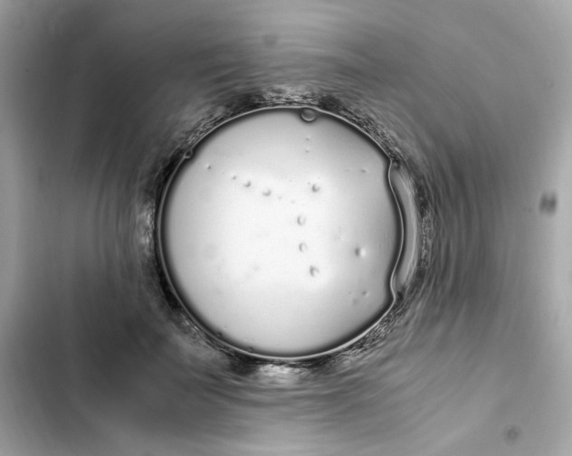 X0000102370699200808151835