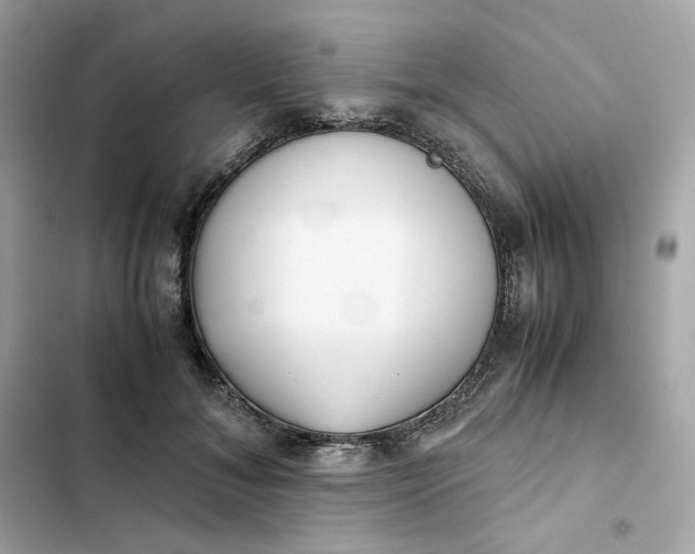 X0000102370700200808151835