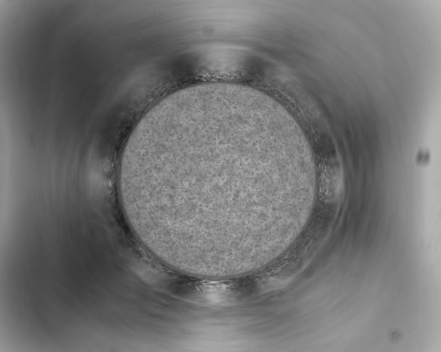 X0000102370701200808151835