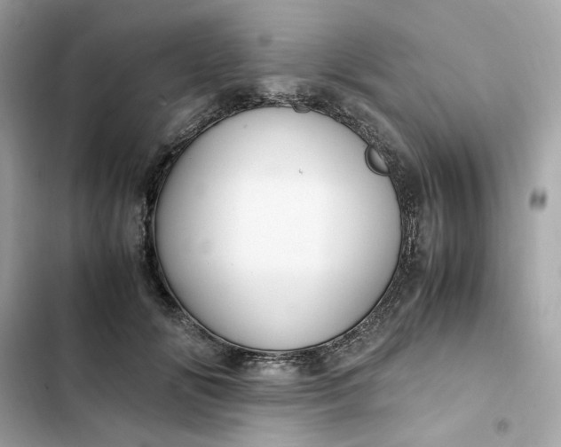 X0000102370702200808151835