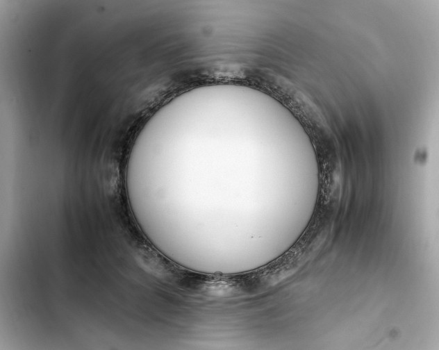 X0000102370704200808151835