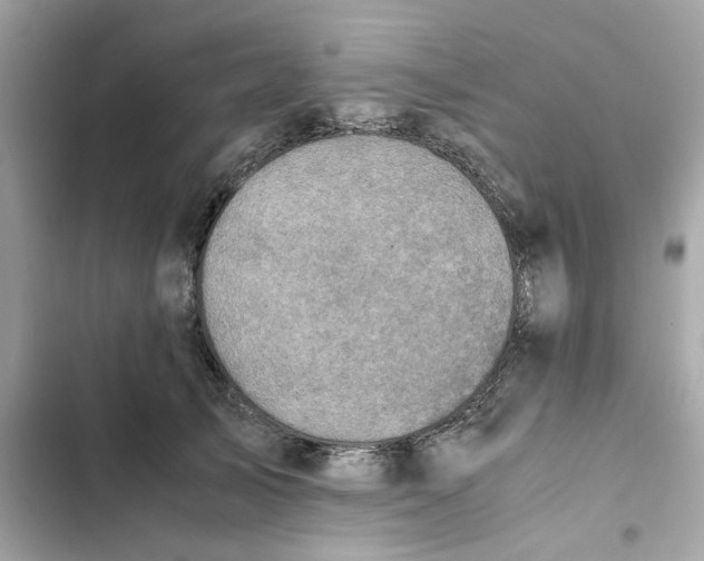 X0000102370705200808151835