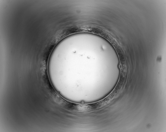 X0000102370707200808151835