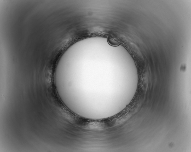 X0000102370708200808151835