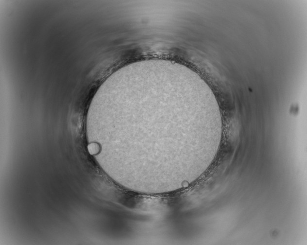 X0000102370709200808151835