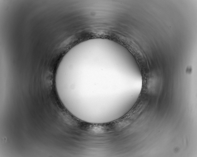 X0000102370710200808151835