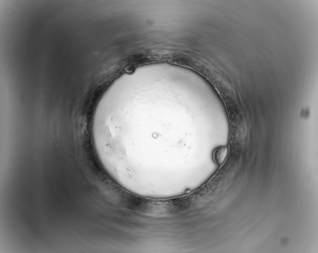 X0000102370711200808151835