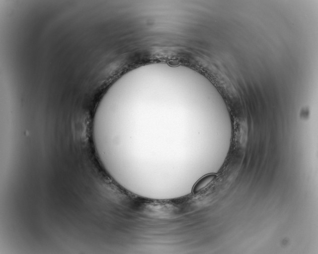 X0000102370712200808151835